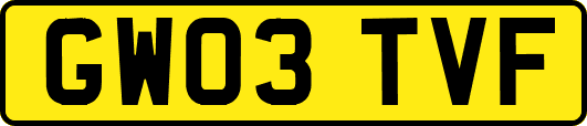 GW03TVF