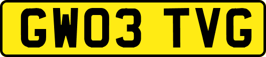 GW03TVG