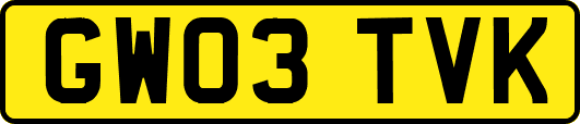 GW03TVK