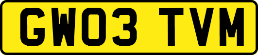 GW03TVM