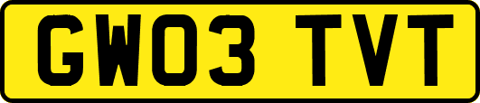 GW03TVT