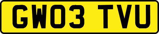 GW03TVU