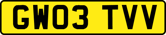 GW03TVV