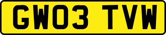 GW03TVW
