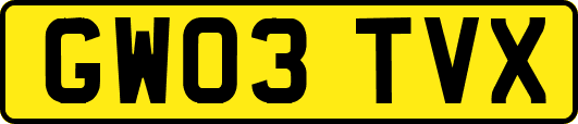 GW03TVX