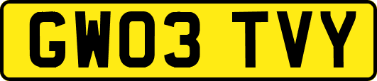GW03TVY