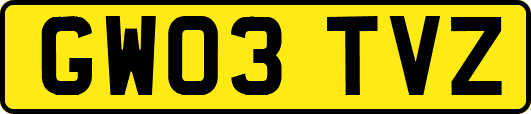 GW03TVZ