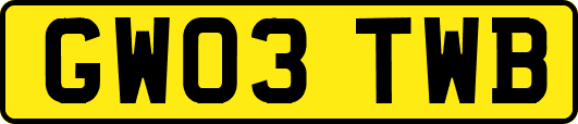 GW03TWB