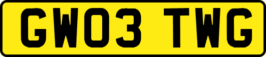 GW03TWG