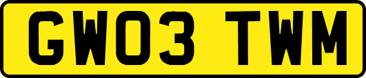 GW03TWM