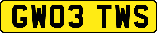 GW03TWS