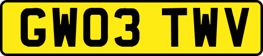 GW03TWV