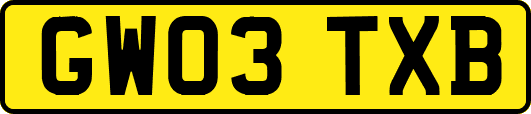 GW03TXB