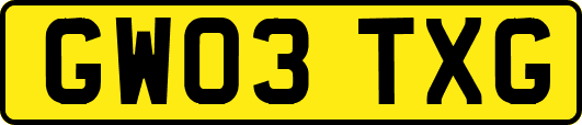 GW03TXG