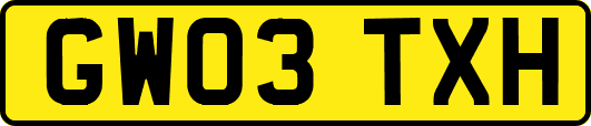 GW03TXH