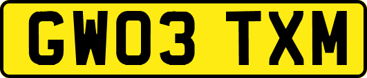 GW03TXM