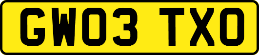 GW03TXO