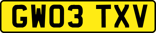 GW03TXV