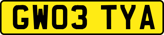 GW03TYA