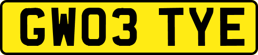 GW03TYE