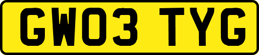 GW03TYG