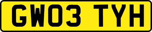 GW03TYH
