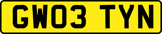 GW03TYN