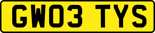 GW03TYS