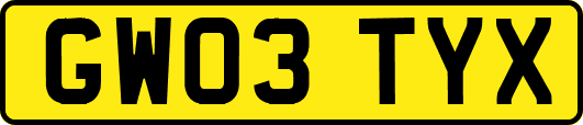 GW03TYX