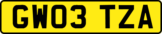 GW03TZA