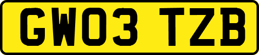 GW03TZB