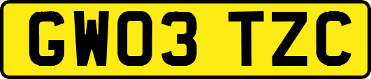 GW03TZC