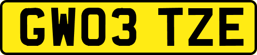 GW03TZE