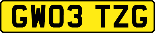 GW03TZG