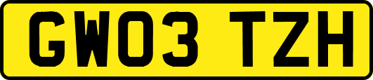 GW03TZH
