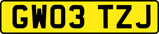 GW03TZJ