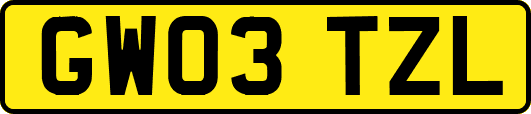 GW03TZL