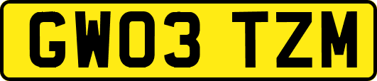 GW03TZM