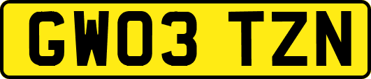 GW03TZN