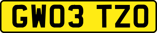 GW03TZO