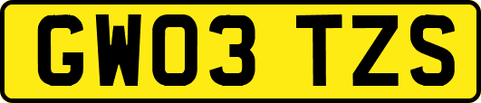 GW03TZS