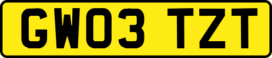 GW03TZT