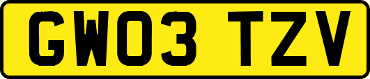GW03TZV