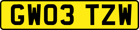 GW03TZW