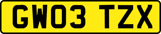 GW03TZX