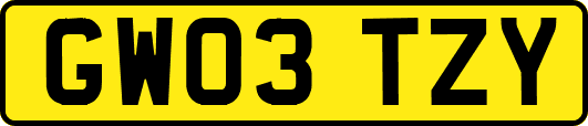 GW03TZY