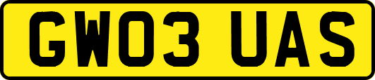 GW03UAS