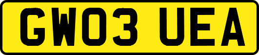 GW03UEA