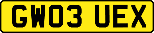 GW03UEX