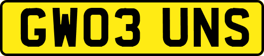 GW03UNS
